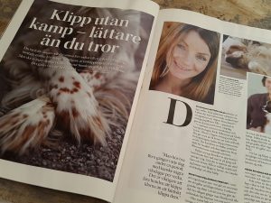 Tearsheet kloklippningsartikeln