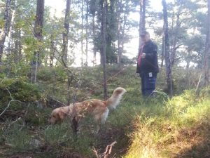 Personspår med hund hos Glada Jyckar