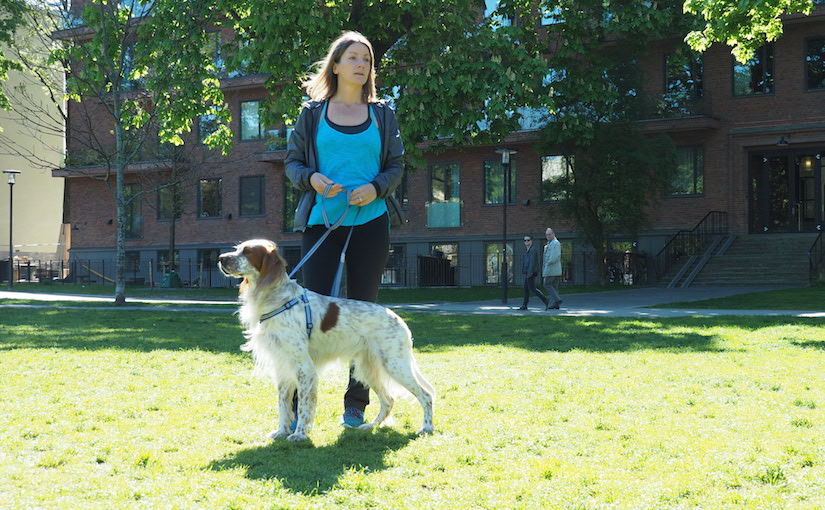 Hundpsykolog Kicki Fellstenius och certifierad diplomathund Oskar.