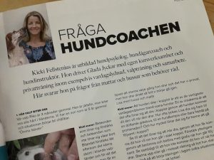 Teersheet Fråga Hundcoachen1