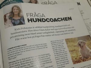 Teersheet Fråga Hundcoachen2