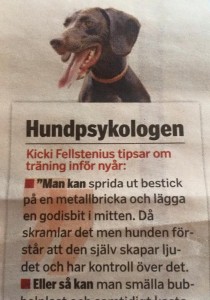 fyrverkerirädsla vårt kungsholmen dec2015