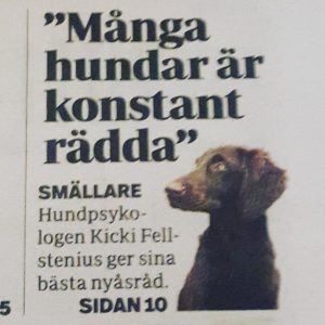 fyrverkeritidningsurklipp