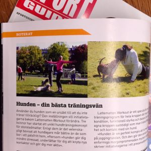 sportguiden