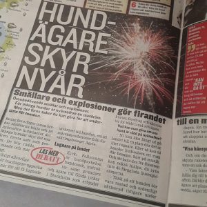tearsheet expressen fyrverkerier 2015