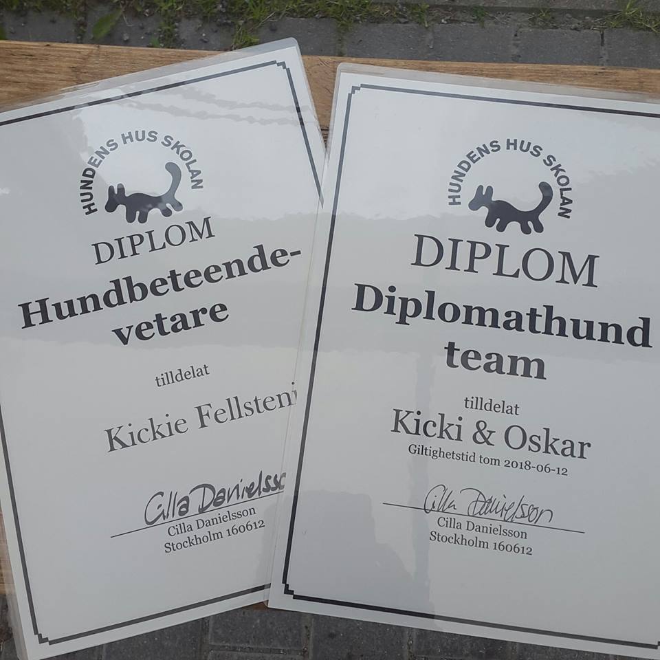 Diplom; Kicki Fellstenius hundbeteendevetare och Kicki & Oskar diplomathundsteam. 