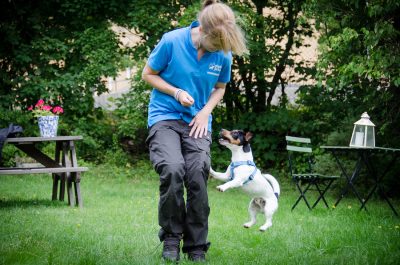 Ziggy och Rebecca busar