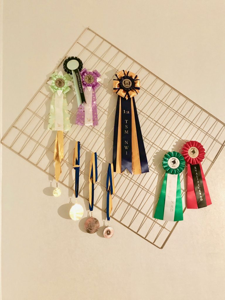 Ziggys rosetter och medaljer