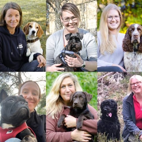 Om oss banner 2022 Glada Jyckars medarbetare: Kicki Fellstenius och Tage, Mari Ringkvist och Greta, Cecilia Strömberg och Diesel, Camilla Kandare och Blenda, Eva Beijersand och Svea samt Monica Franzén-Sjödin och Sheldon
